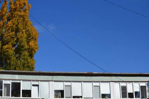 A building with a tree in front of it and a blue sky. Stock Photos