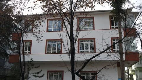 Building tree  front Stock Photos