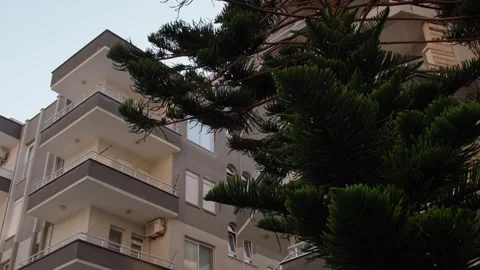 Building with Trees Stock Footage 339702997