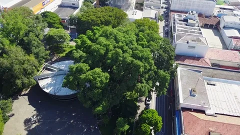 Building under construction Vídeo Stock 76435896