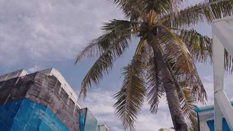 Building under renovation against the background of palm trees Stock Footage 293285535
