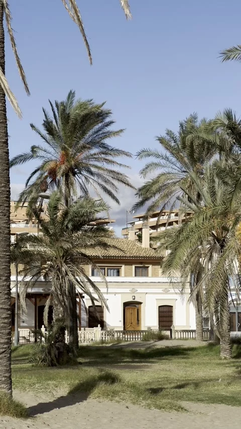 Building in Valencia surrounded by palm trees shaken by wind. Vertical video Stock Footage 255289052