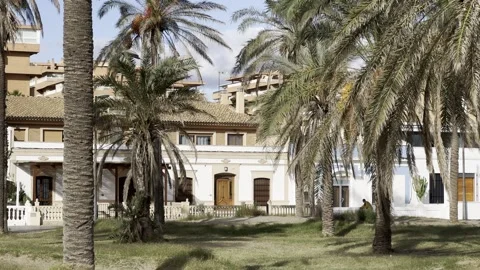 Building in Valencia surrounded by palm trees shaken by wind Stock Footage 255289135