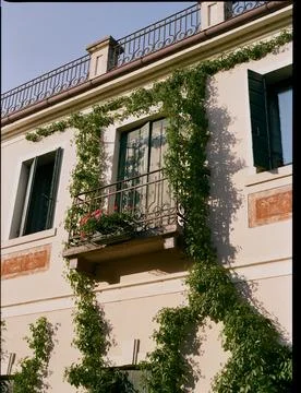 Building in Venice 스톡 사진