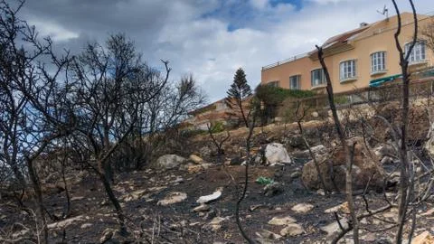 A building with a view to burn trees in the front of mauntain Stock Photos