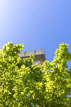 Building viewed from below greenery under clear sky during sunny day 스톡 사진
