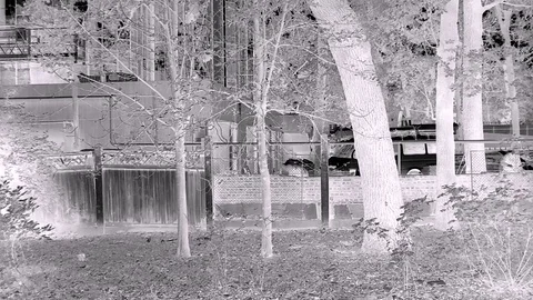 Building Wall Construction In Fast Motion An Front View At Black White Tones Stock Footage 84028393