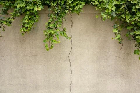 Building wall textured Stock Photos