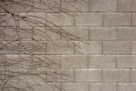 Building wall textured Stock Photos