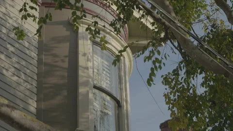 Building window with soft sunlight and tree leaves, San Francisco Vídeos de archivo 333580653