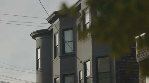 Building windows with tree leaves foreground, San Francisco Stock Footage 333580678
