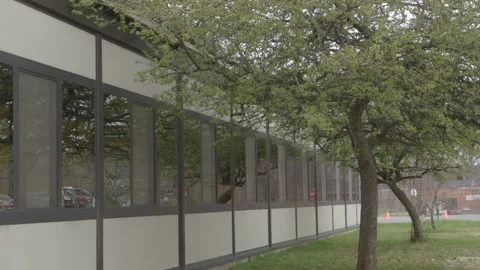 Building windows, trees Stock Footage 304366700