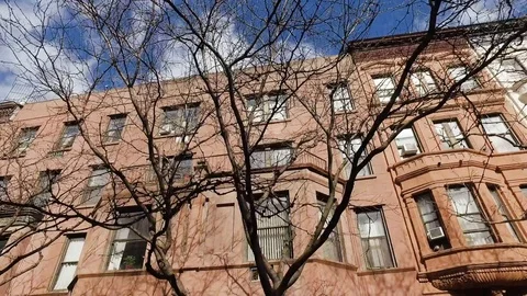 Buildings and bare trees along the street Video stock 71556430
