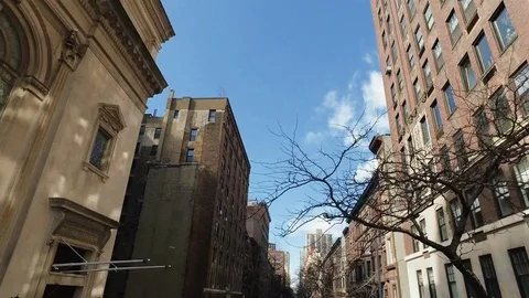 Buildings and bare trees along the busy city street Stock-Footage 71556757