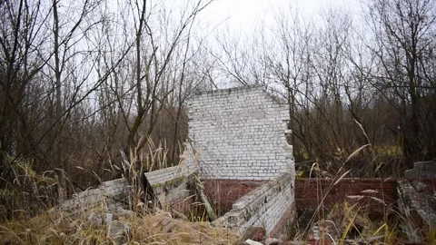 Buildings and structures abandoned in the forest by humans Stock Footage 152971151