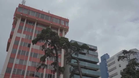 Buildings and Trees Complex on City Avenue Stock Footage 293425013