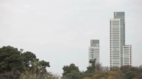 Buildings and trees Stock Footage 24243019