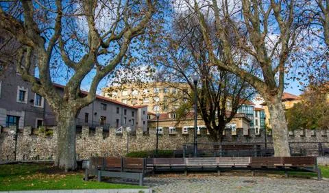 Buildings and trees Stock Photos