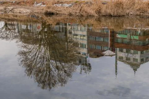 Buildings and trees reflection in river Stock Photos