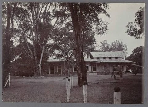 Buildings between trees. Different buildings between trees, belonging to t... Fotos de archivo
