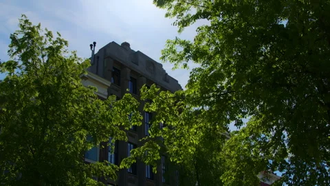 A buildings facade behind waving trees on a sunny day with a clear blue sky Stock-Footage 323383873