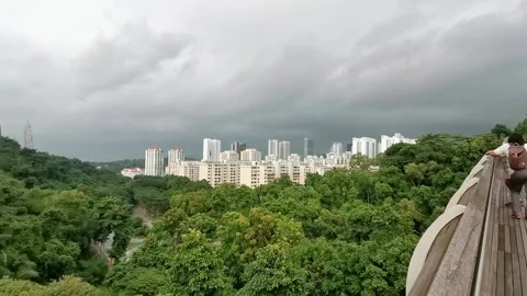 Buildings in Forest Stock Footage 158073152