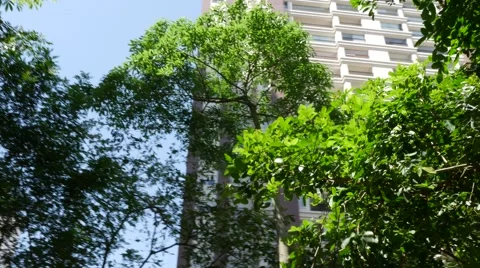 Buildings in the park Stock Footage 68029855