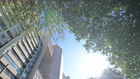 Buildings at the park Stock Footage 147102092