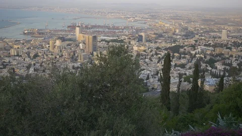 Buildings seen behind branches Stock Footage 100570563