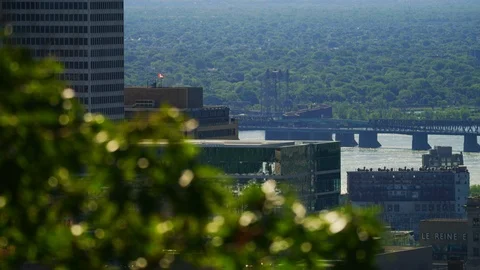 Buildings seen behind tree branches Stock Footage 99920122