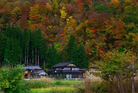 Buildings in Shirakawa-go, a Japanese traditional village in front of mountains Stock Photos