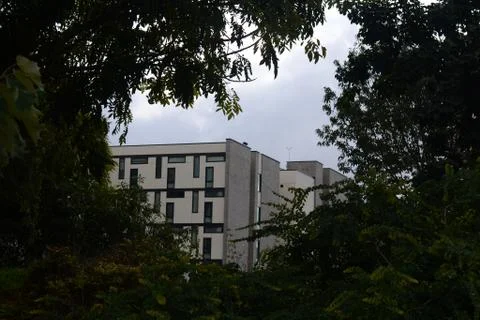Buildings through trees Foto stock