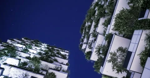 Buildings with vegetation at night Stock Footage 66203953