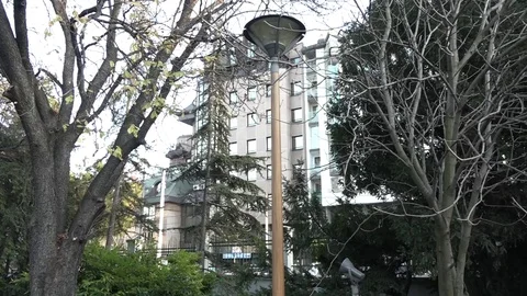Building,trees and city lighting Video stock 70731617