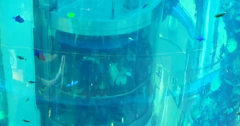 Built-in Elevator is moving in the panoramic aquarium biodesign, different fish Stock Footage 68942944
