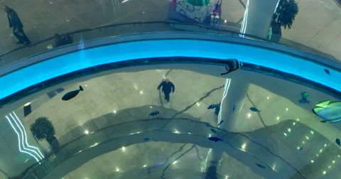 Built-in lift, flocks of fish in the panoramic aquarium, Imax cinema Stock Footage 68944599