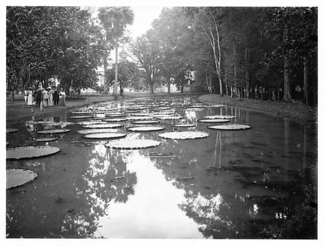 Buitenzorg (Bogor) (Java / Indonesia). Botanical Garden (1817, K. G. K. Re... Stock-Fotos