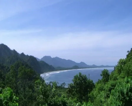 Buket Hatta View1 Видео 156511