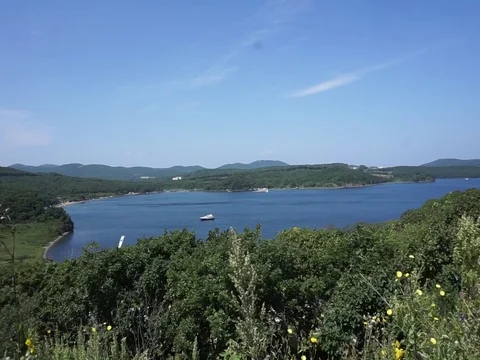 Bukhta Novik Vídeo Stock 82996589