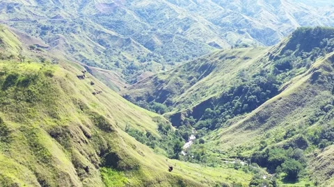 Bukidnon Stock Footage 332403457