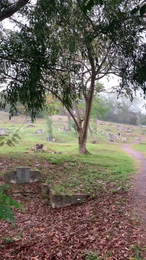 Bukit Cina Cemetery in Malacca Vidéo 343552565