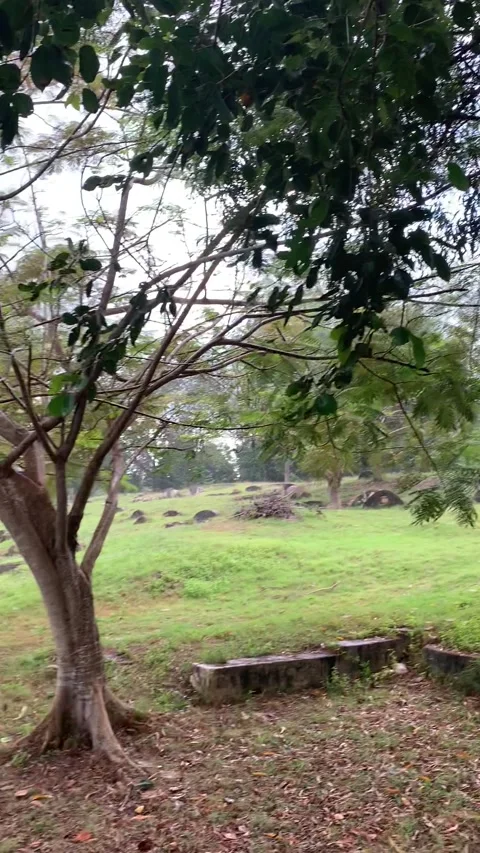 Bukit Cina Cemetery in Malacca 動画素材 343552572