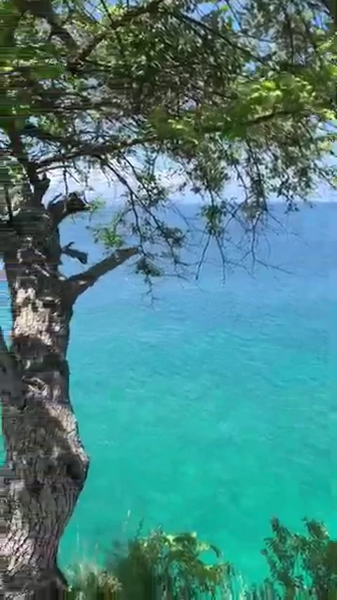 Bukit Lamreh Stock Footage 296745283