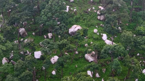 Bukit Mertajam Cloudy Day Forest Hillside With Boulders Video stock 332216278
