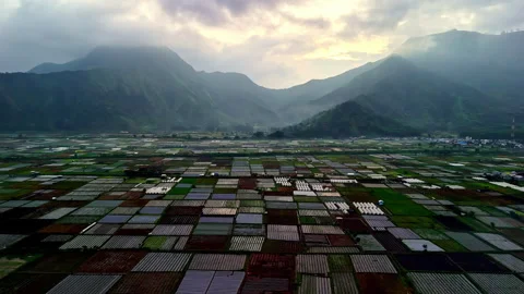 Bukit Selong valley patchwork farms at dawn with mountain mist and glowing sky Vidéo 334264515