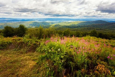 Bukowe Berdo path in Bieszczady Stock Photos