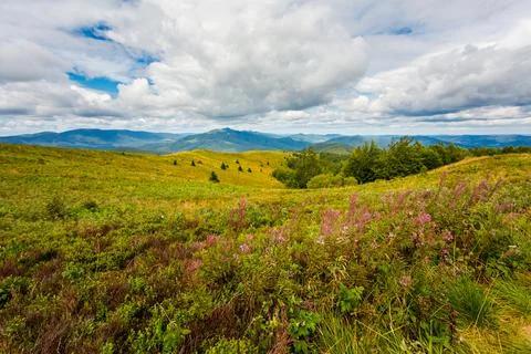 Bukowe Berdo path in Bieszczady Foto stock