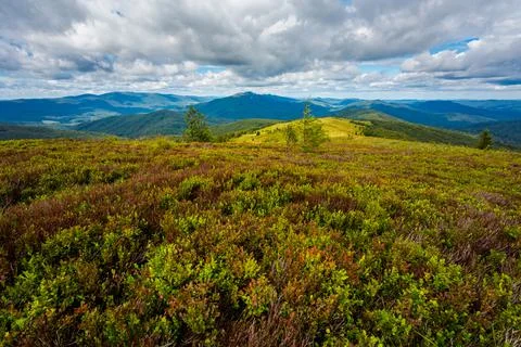 Bukowe Berdo path in Bieszczady Stock Photos