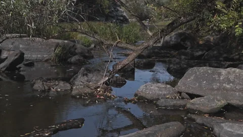 Buky Canyon waterfall deep river valley Hirskyi Tikych Cherkasy Ukraine Stock Footage 220653246