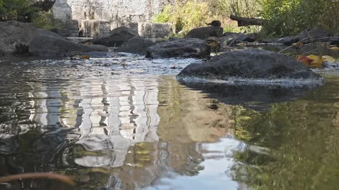 Buky Canyon waterfall deep river valley Hirskyi Tikych Cherkasy Ukraine Stock Footage 220653358